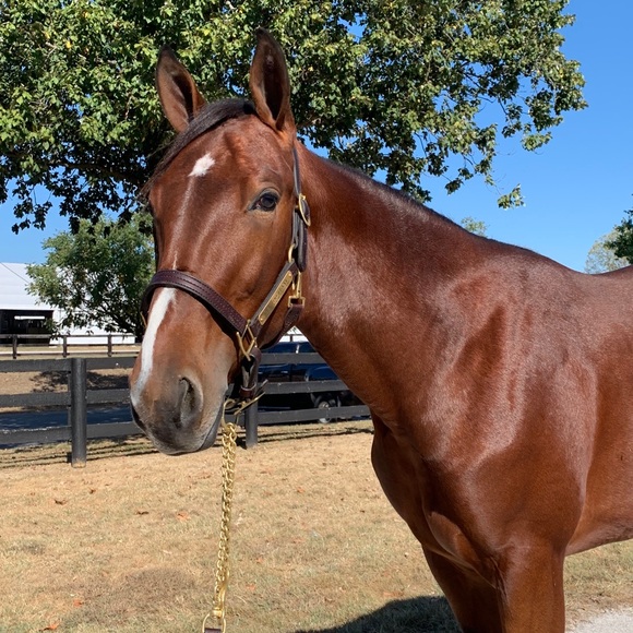 Meet your Posher, Kathy - Picture 1 of 1